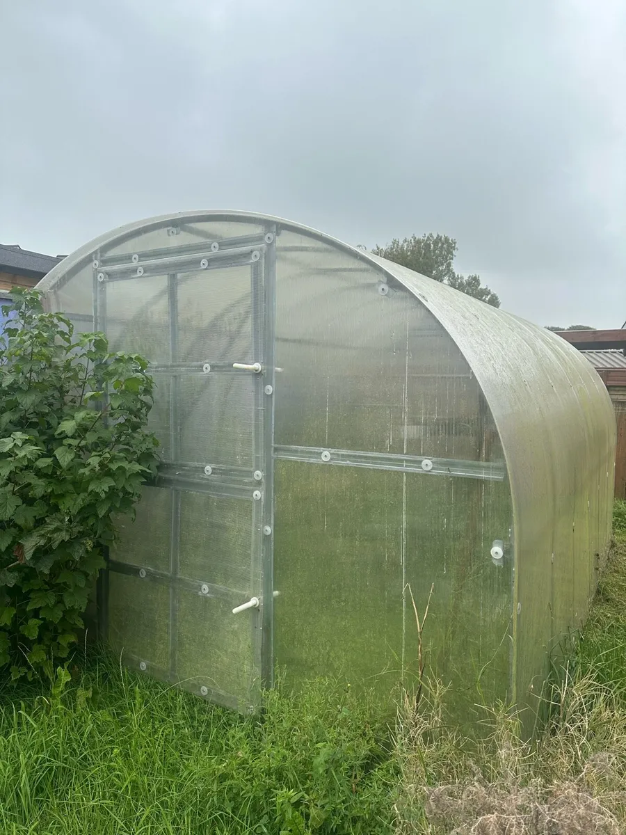 Polytunnel - Image 3