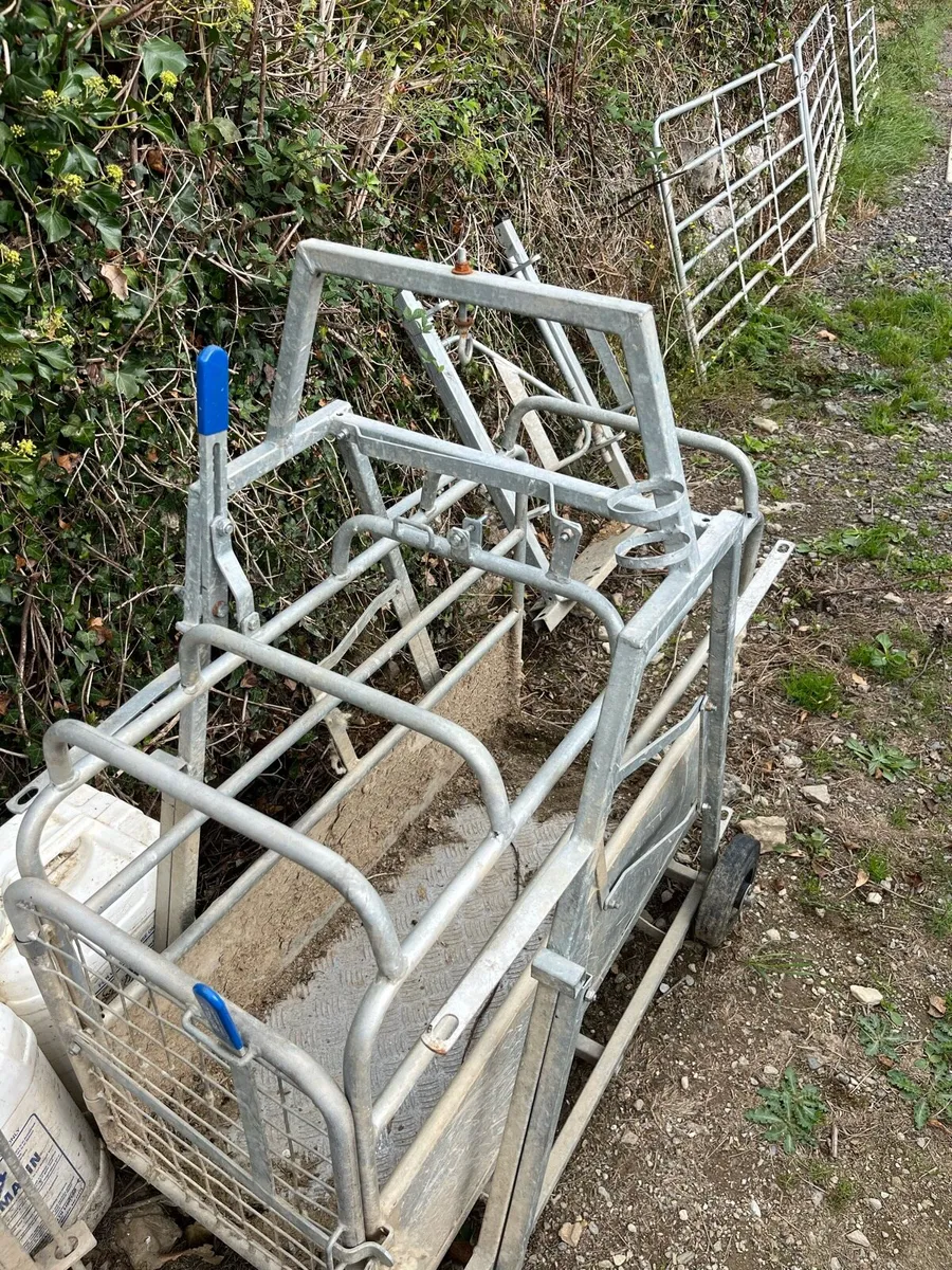 Sheep scales and drafting gate - Image 2