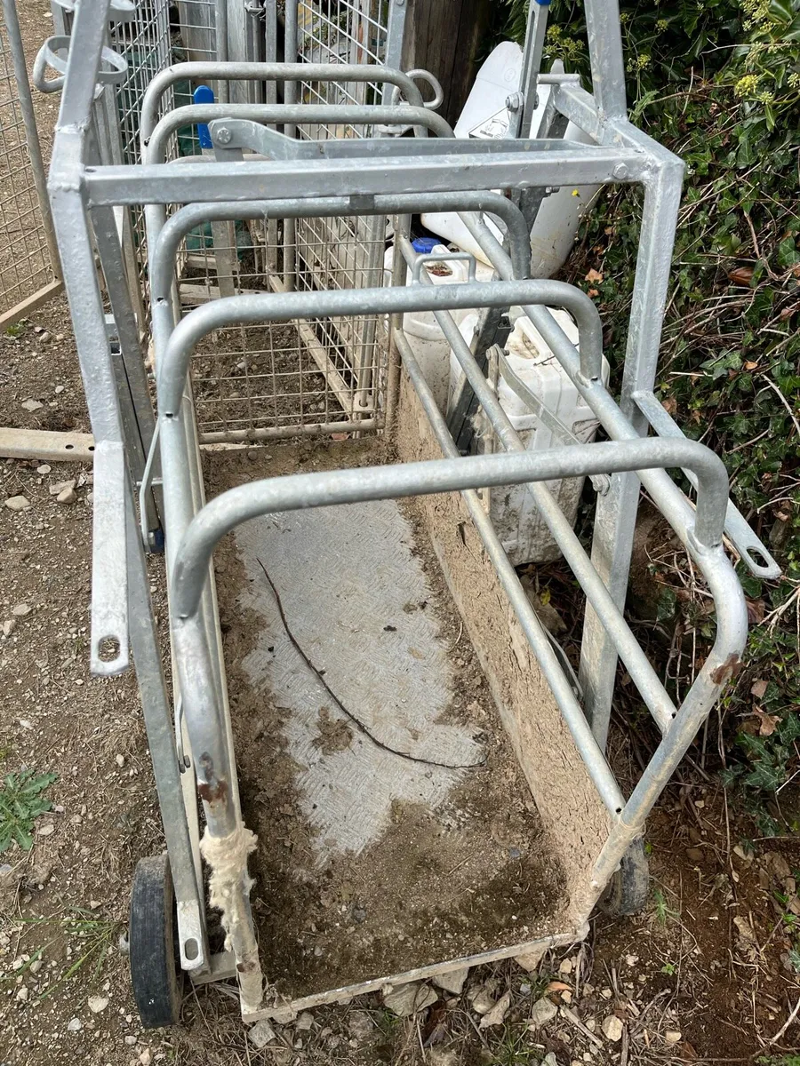 Sheep scales and drafting gate - Image 3