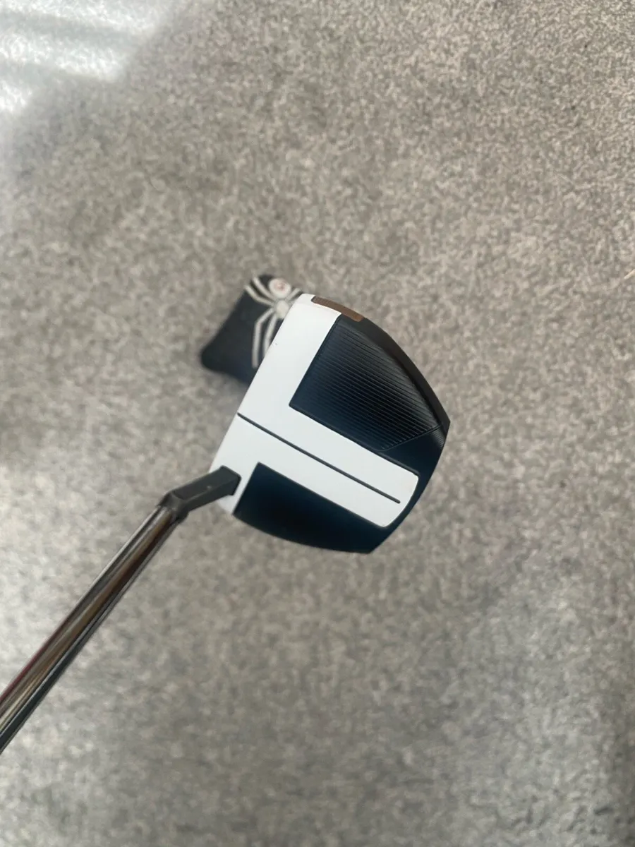 Taylormade Spider FCG - Image 4