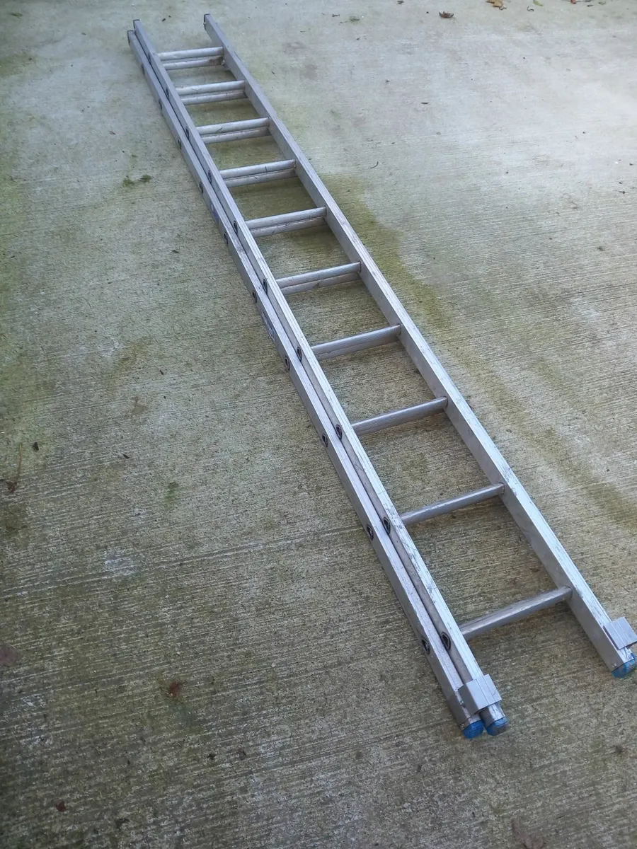 Stradbally ladder 17ft - Image 2