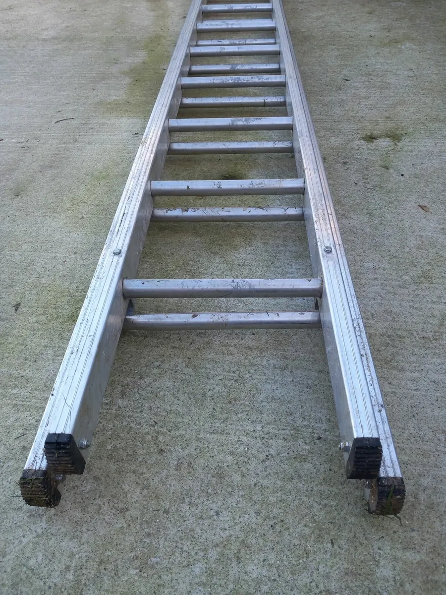 Stradbally ladder 17ft - Image 3