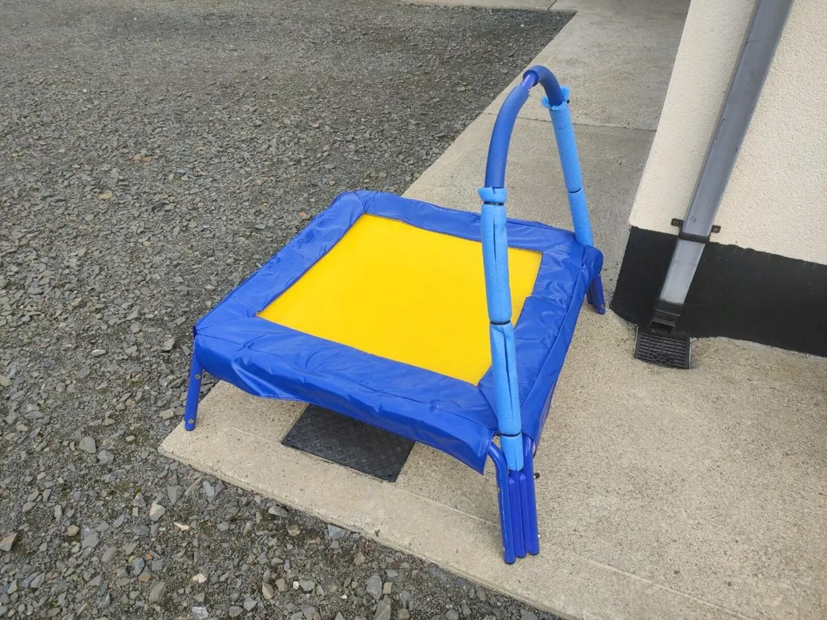 Mini Trampoline - Image 1