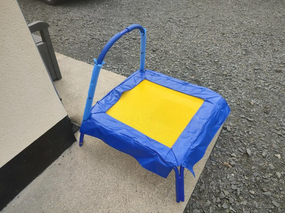 Mini Trampoline - Image 2