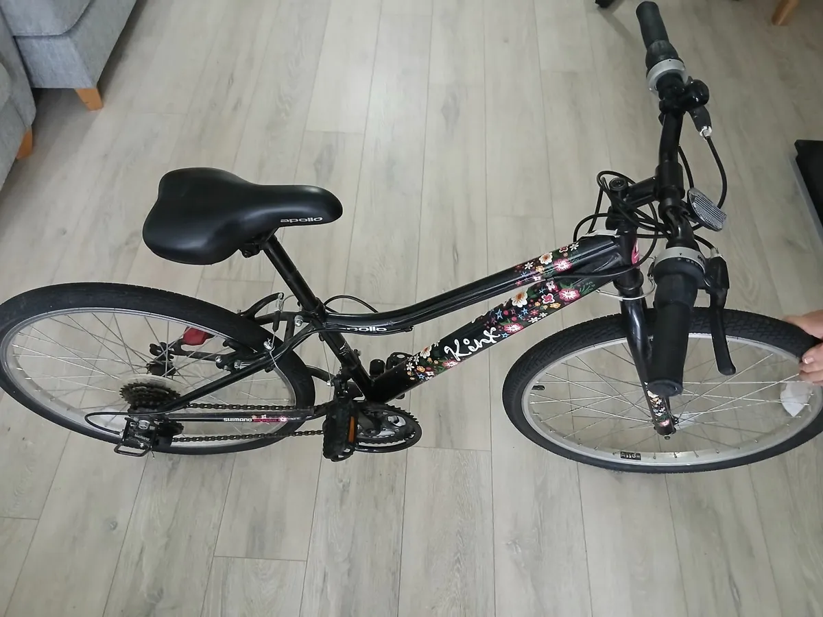 Adult and Child Bicycles - Image 3