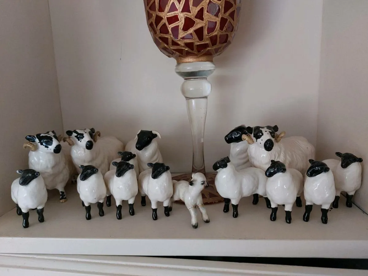 Beswick flock sheep - Image 1