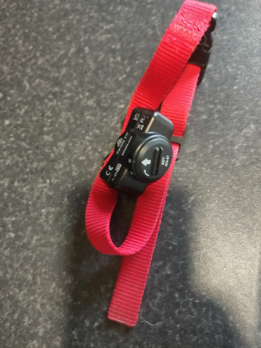 Petsafe Collar - Image 1