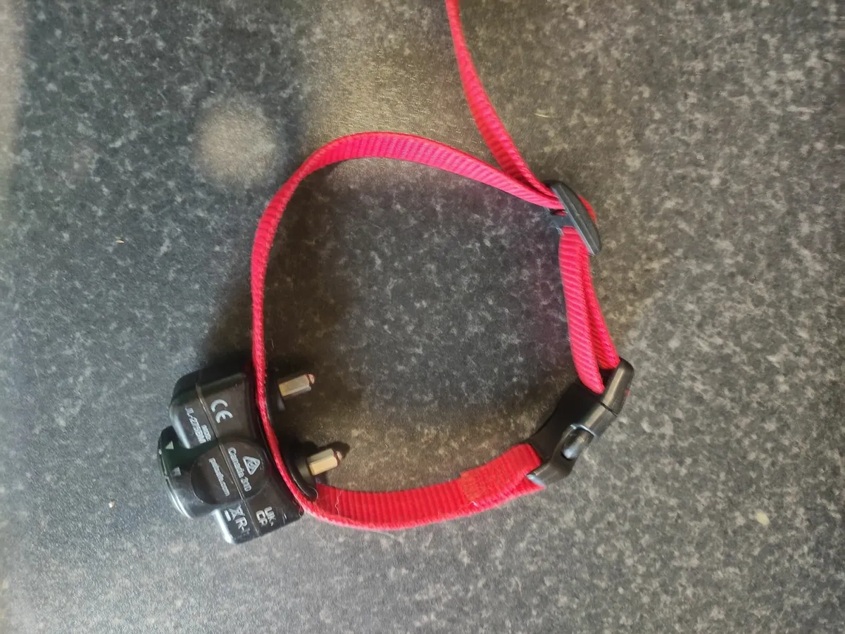 Petsafe Collar - Image 2