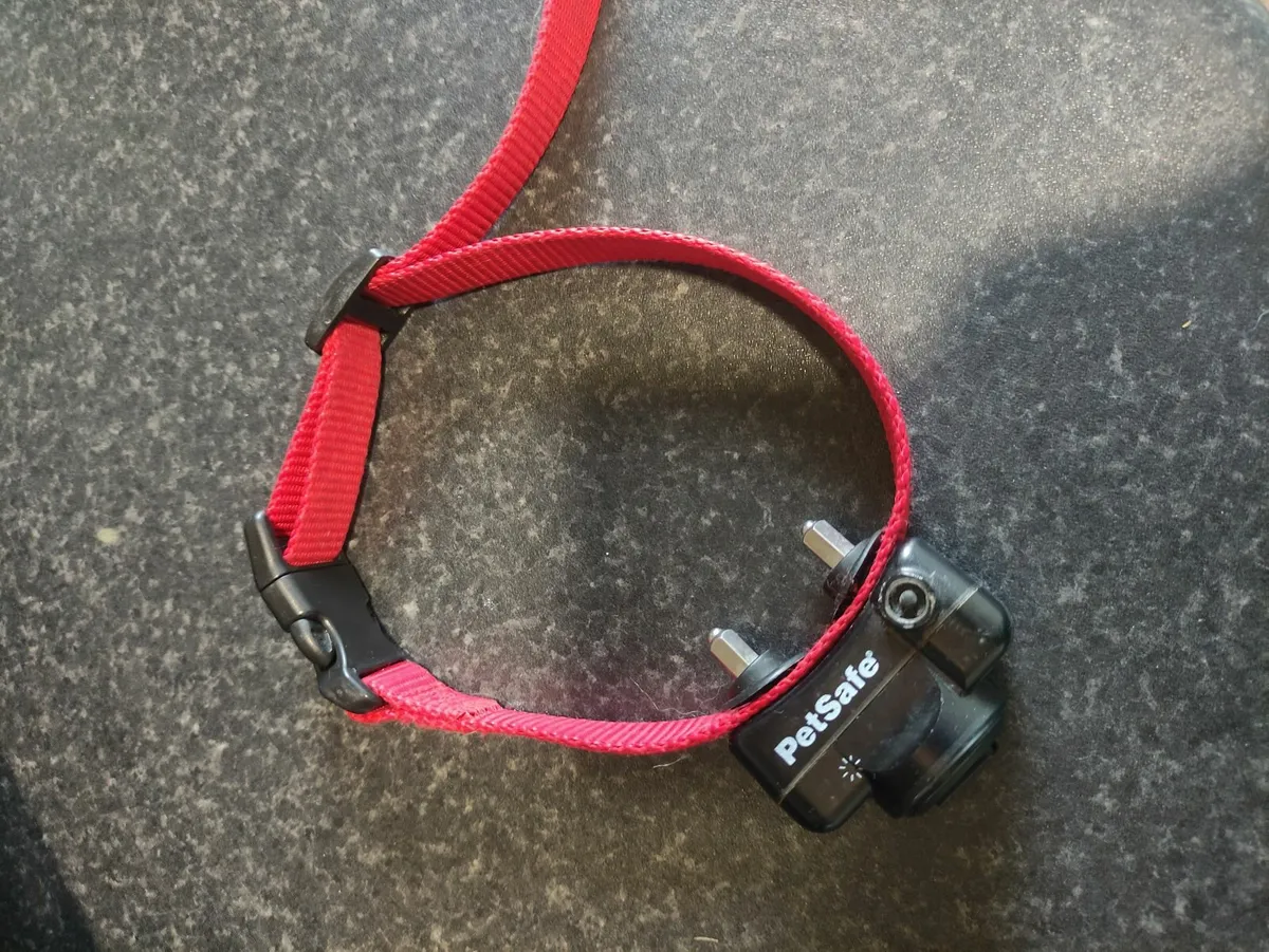 Petsafe Collar - Image 3