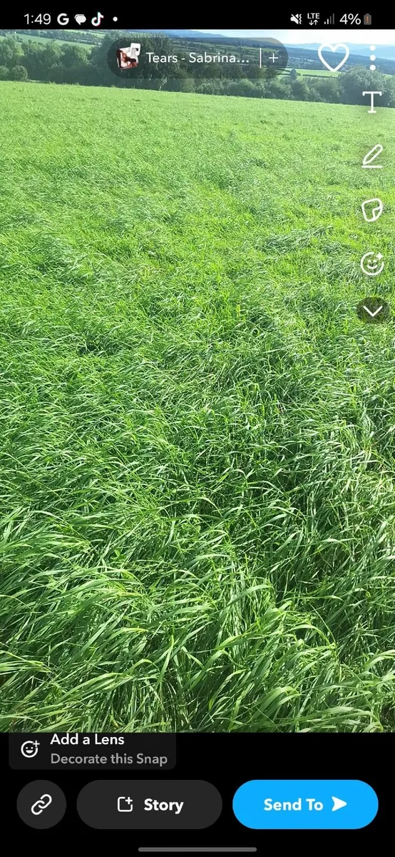 22 acres of silage for sale