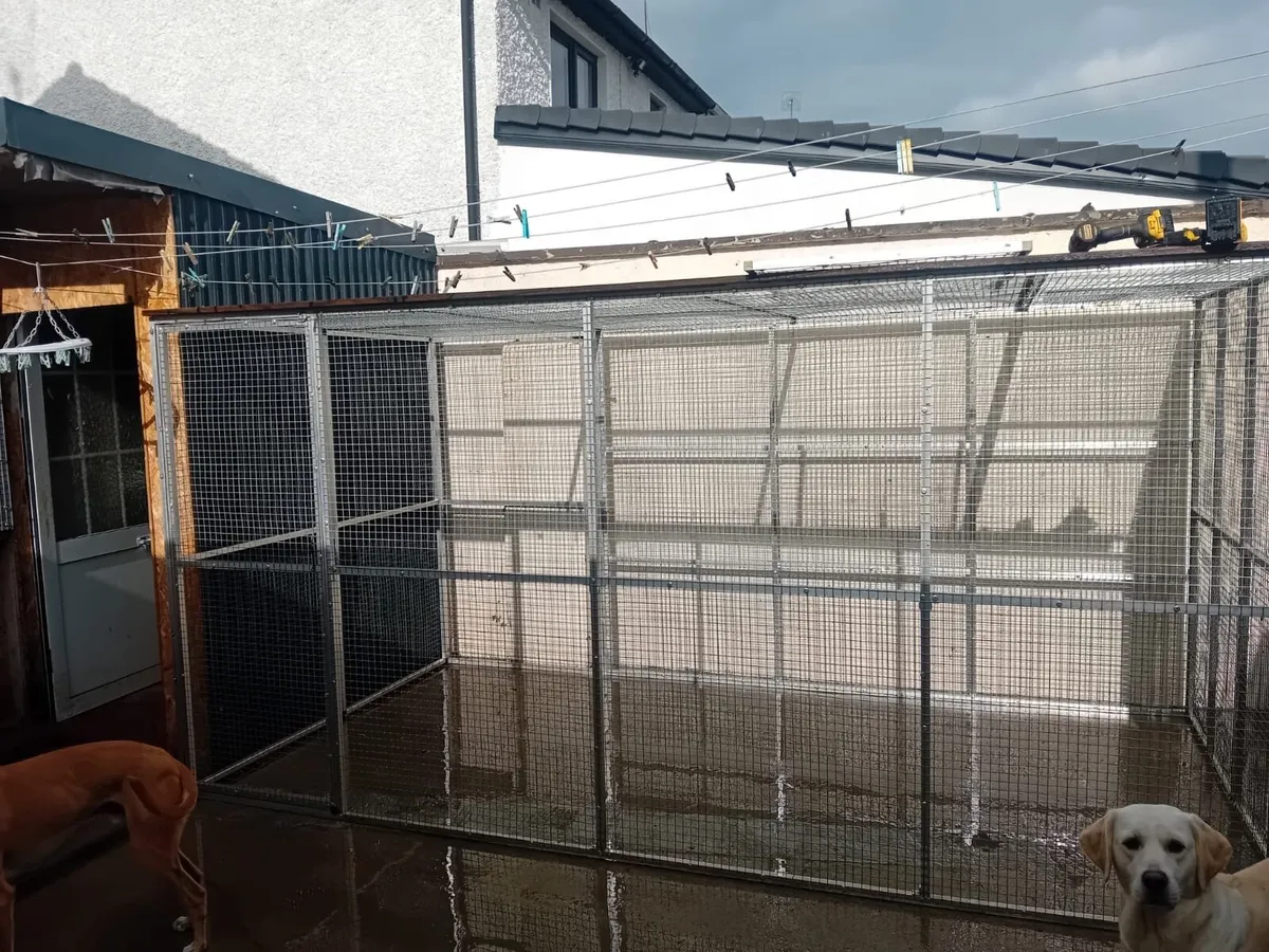 bird flight - Image 2