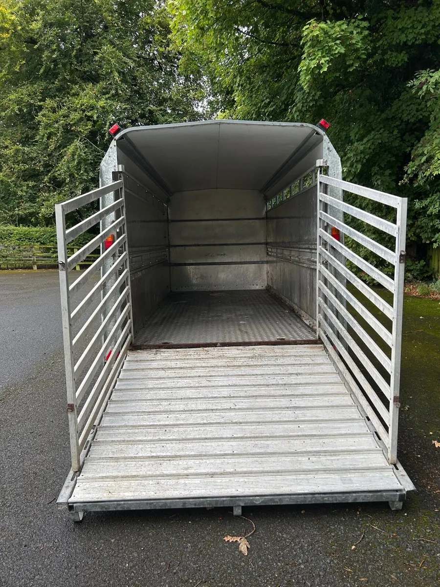 Ifor Williams 14ft Triaxle Livestock Trailer - Image 2