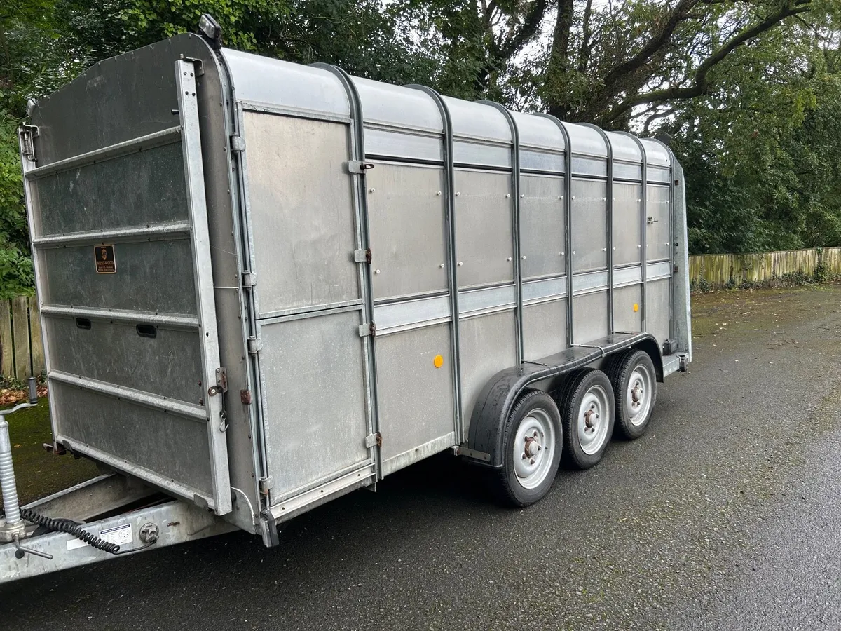 Ifor Williams 14ft Triaxle Livestock Trailer - Image 3