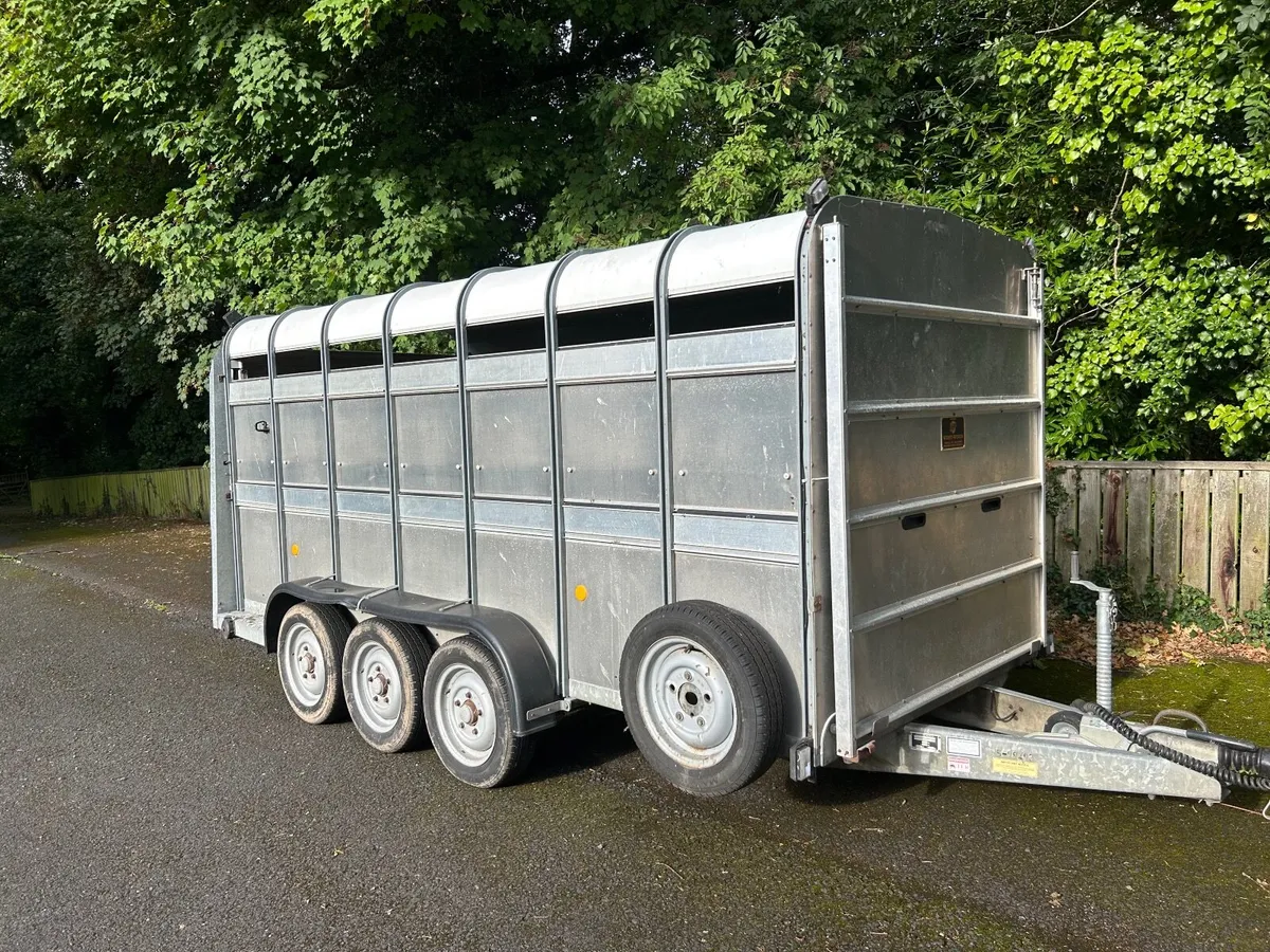 Ifor Williams 14ft Triaxle Livestock Trailer - Image 1