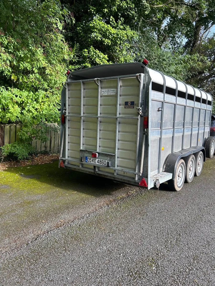 Ifor Williams 14ft Triaxle Livestock Trailer - Image 4