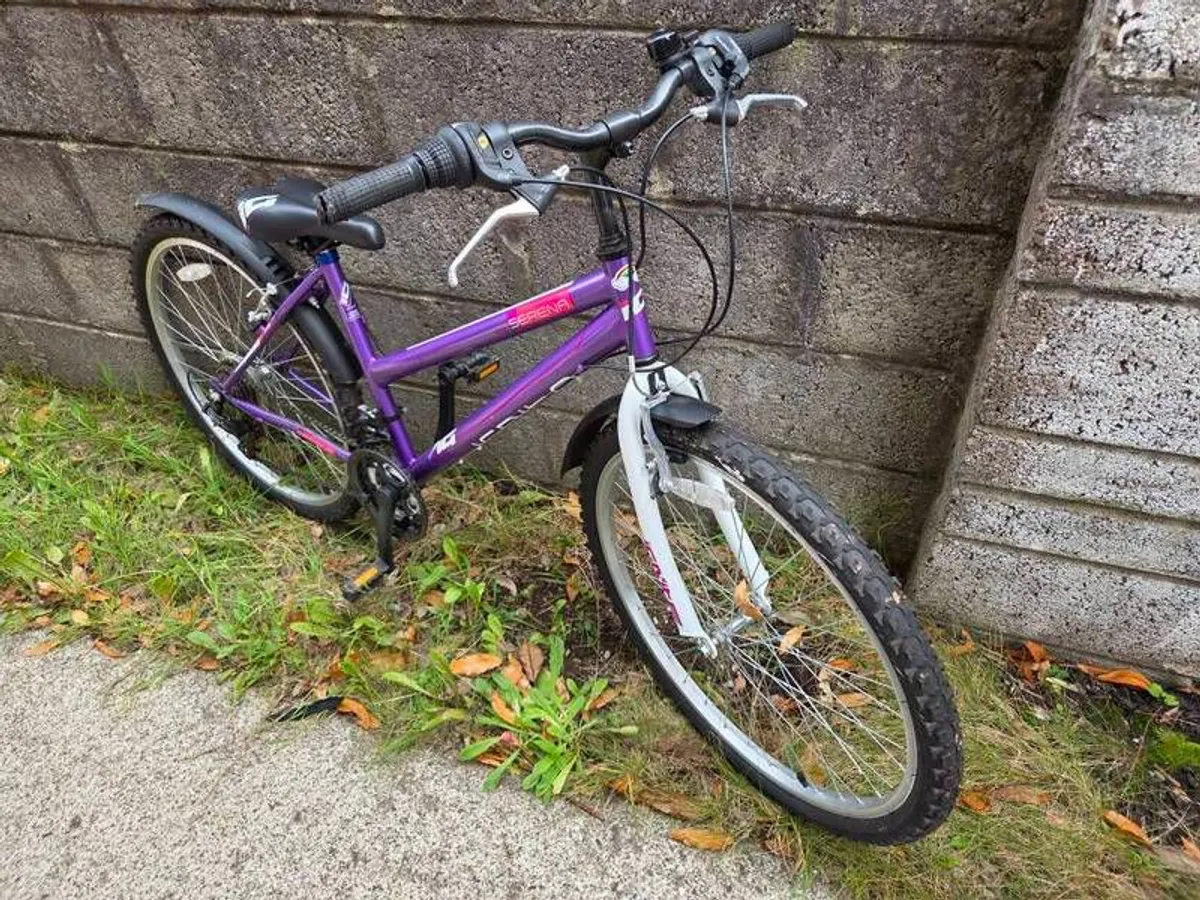 Purple Acorn Serena Mountain Bike, 18 Speed - Image 1