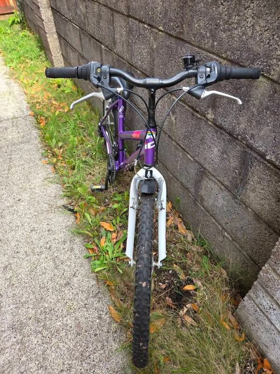 Purple Acorn Serena Mountain Bike, 18 Speed - Image 2