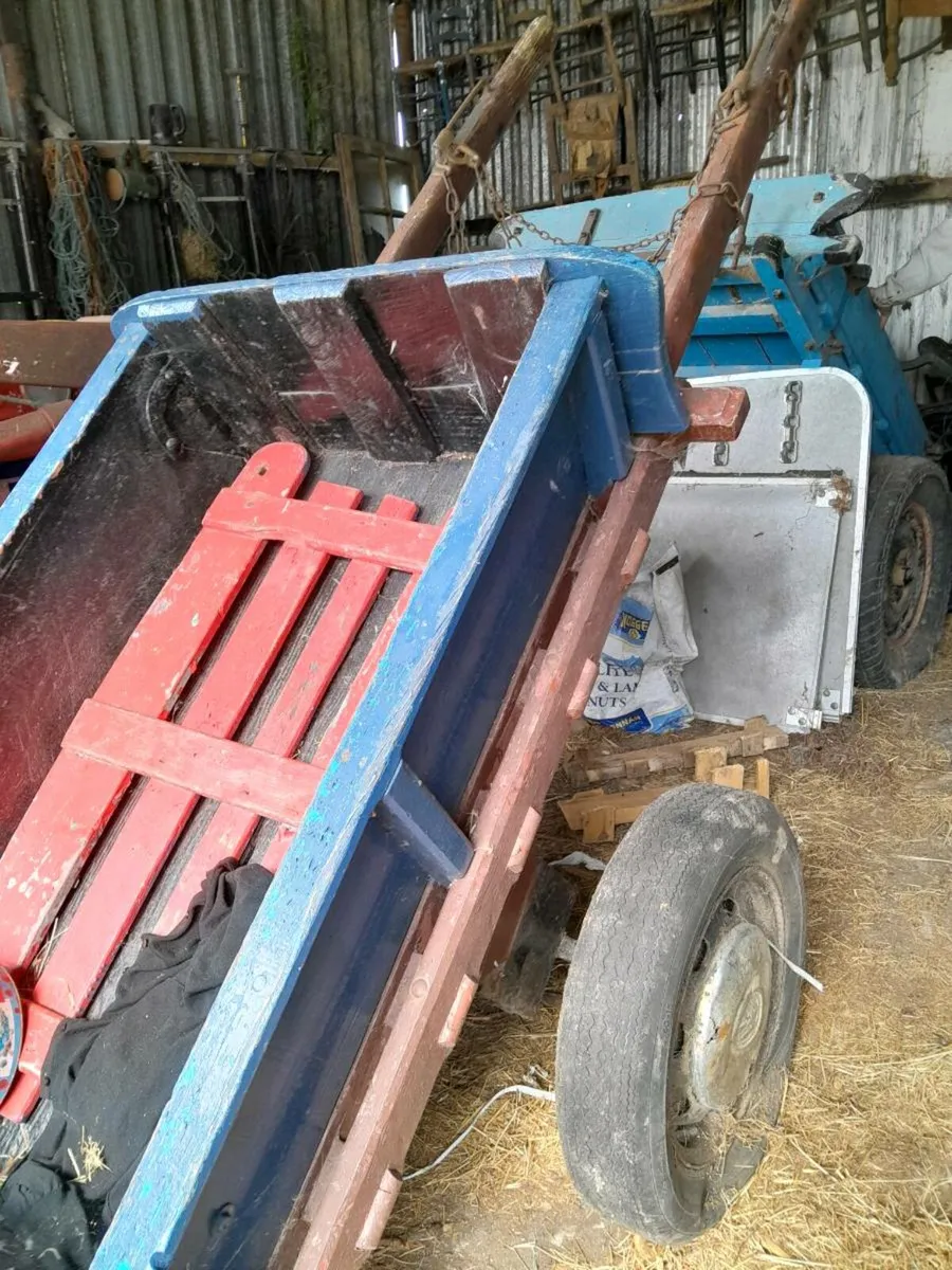 Donkeys cart - Image 2