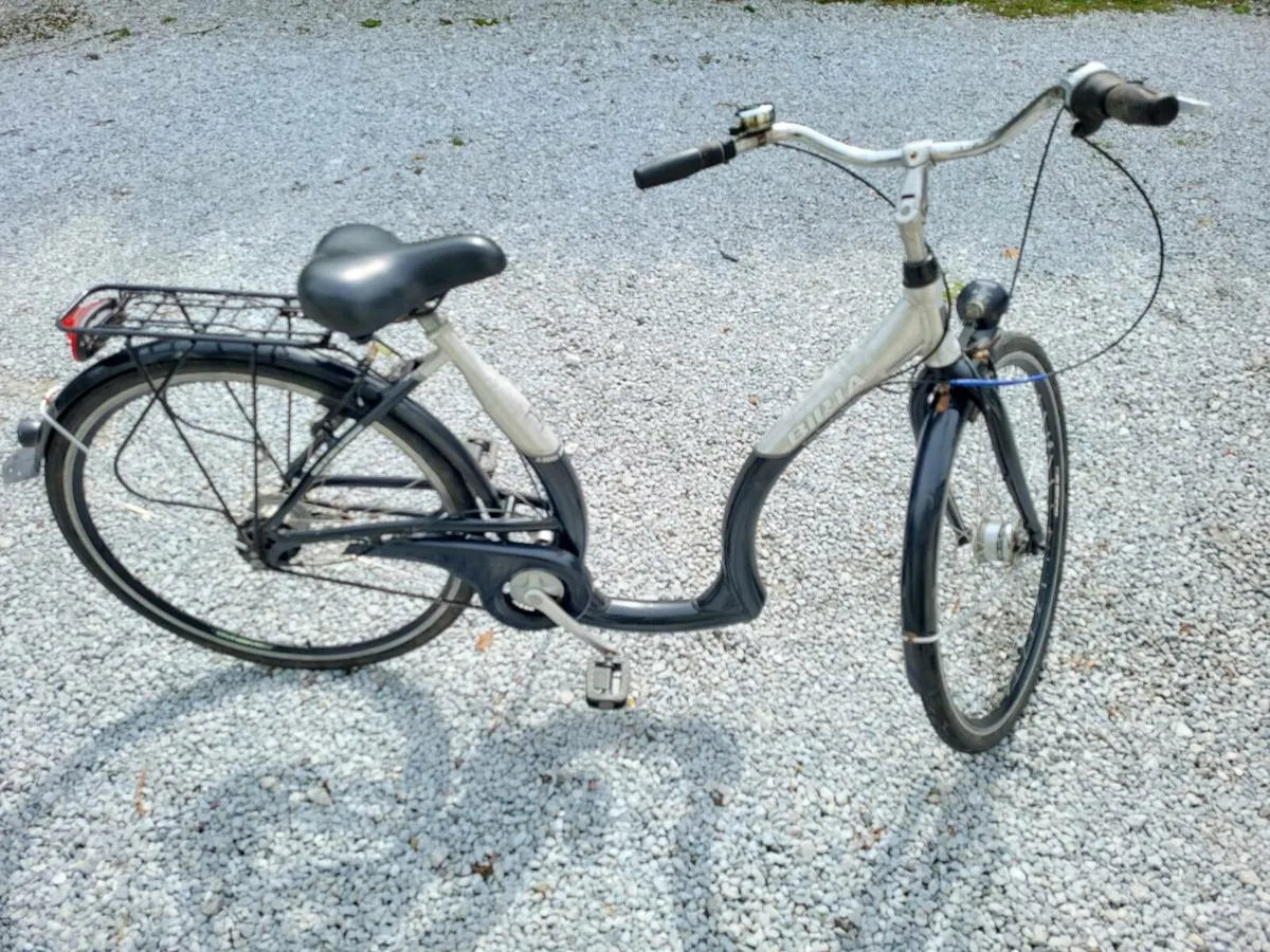 Easy Boarding Step-through Bike - Image 1
