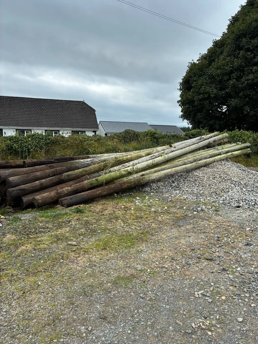 Telegraph Poles - Image 1