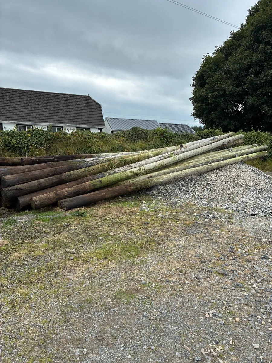 Telegraph Poles - Image 2