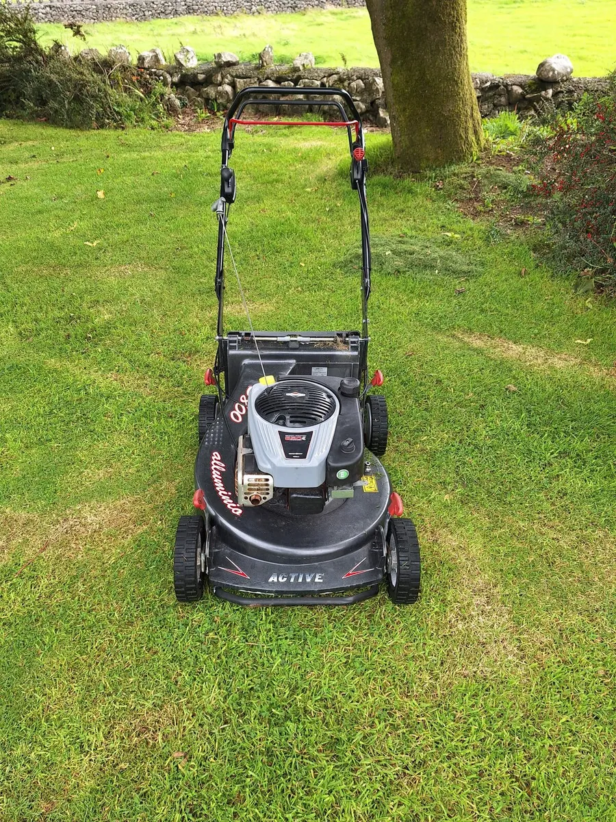 Lawnmower - Image 1