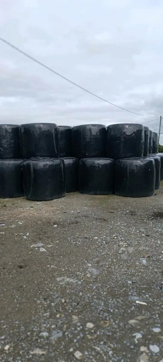Silage 40 bales