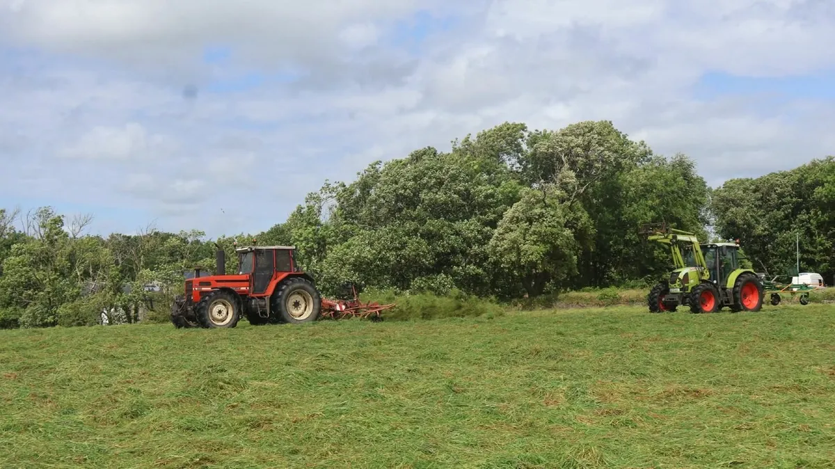 Lely lotus 600 - Image 3