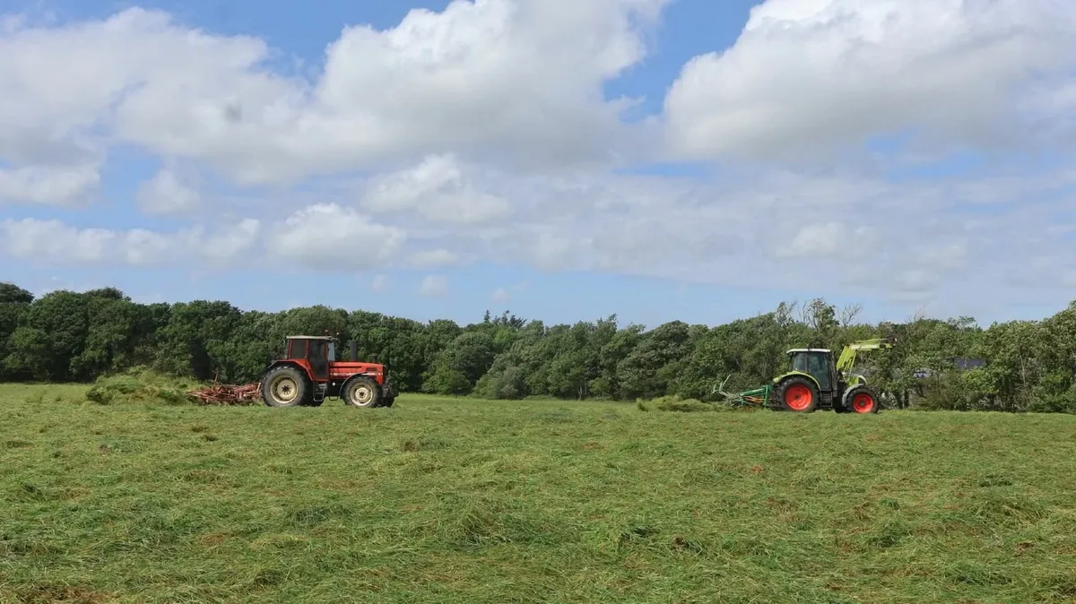 Lely lotus 600 - Image 4
