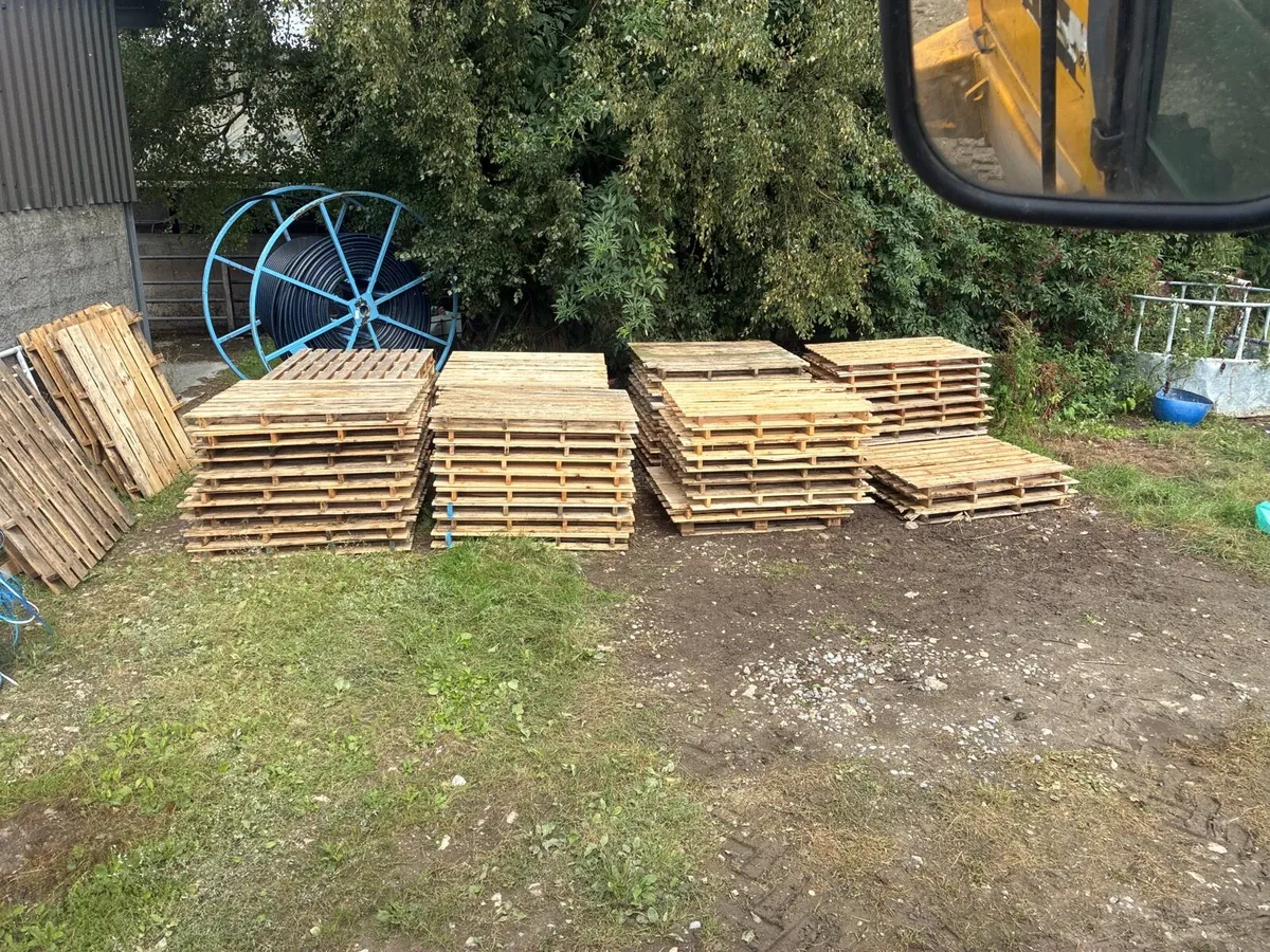 Pallets - Image 1