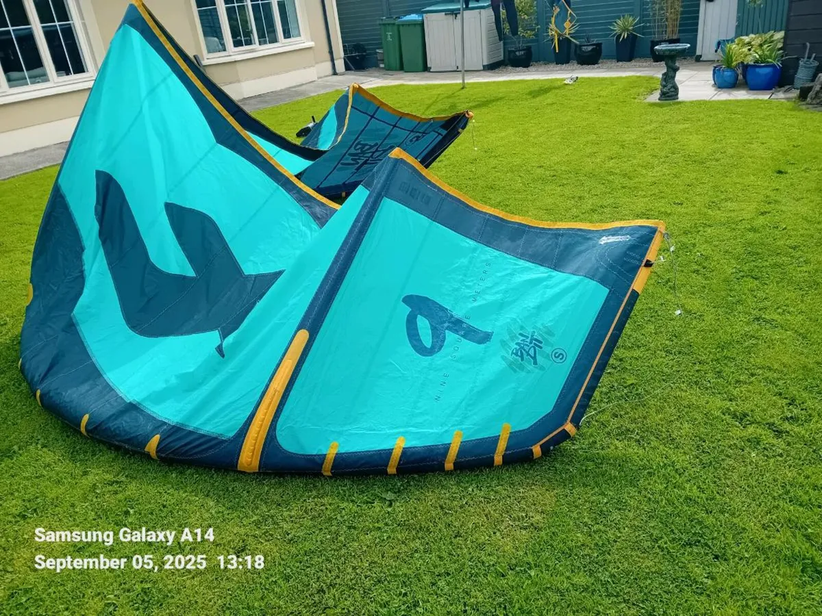 Kite - Image 2