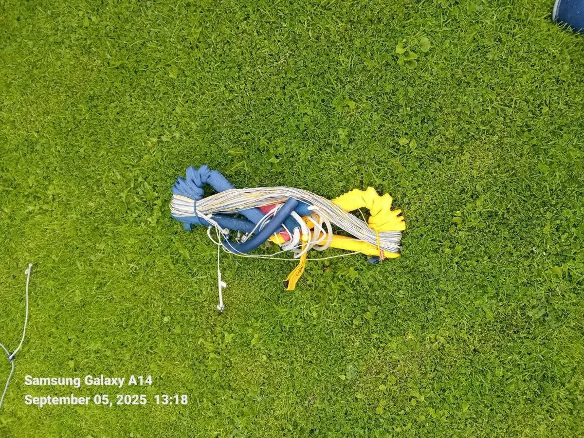 Kite - Image 4