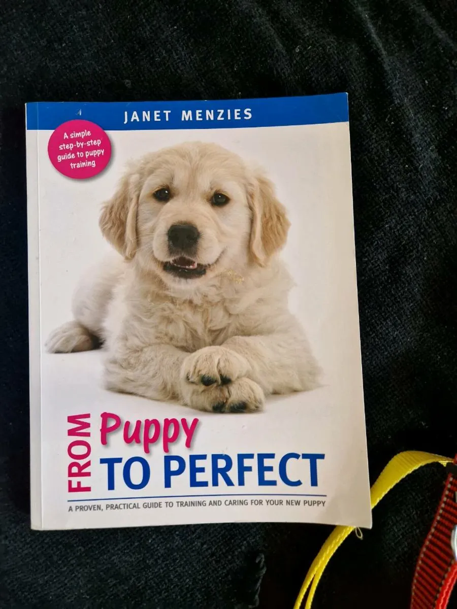 Dog items - Image 2