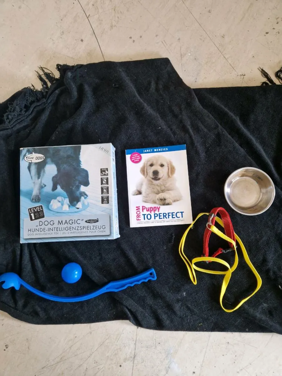 Dog items - Image 3