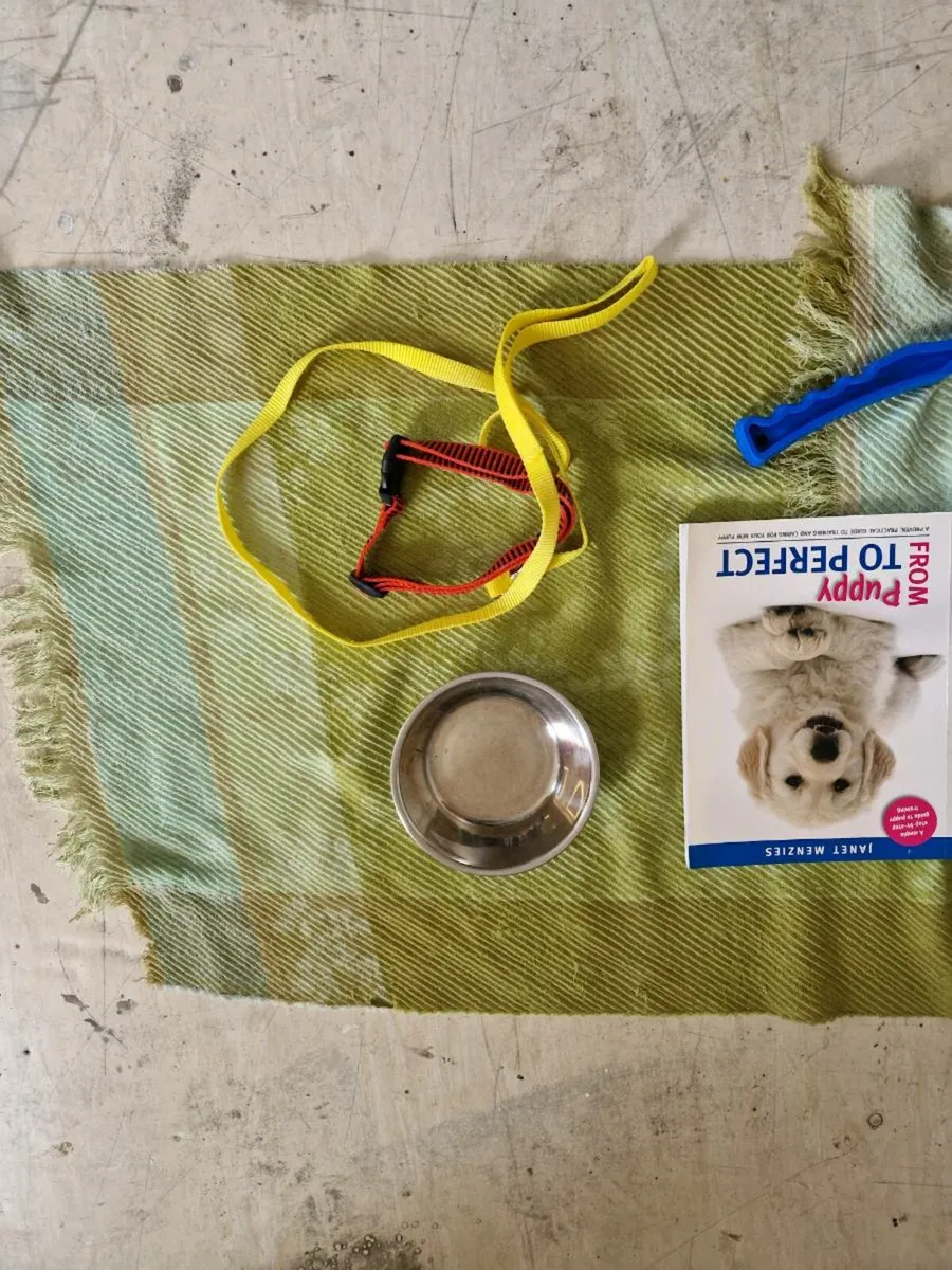 Dog items - Image 4