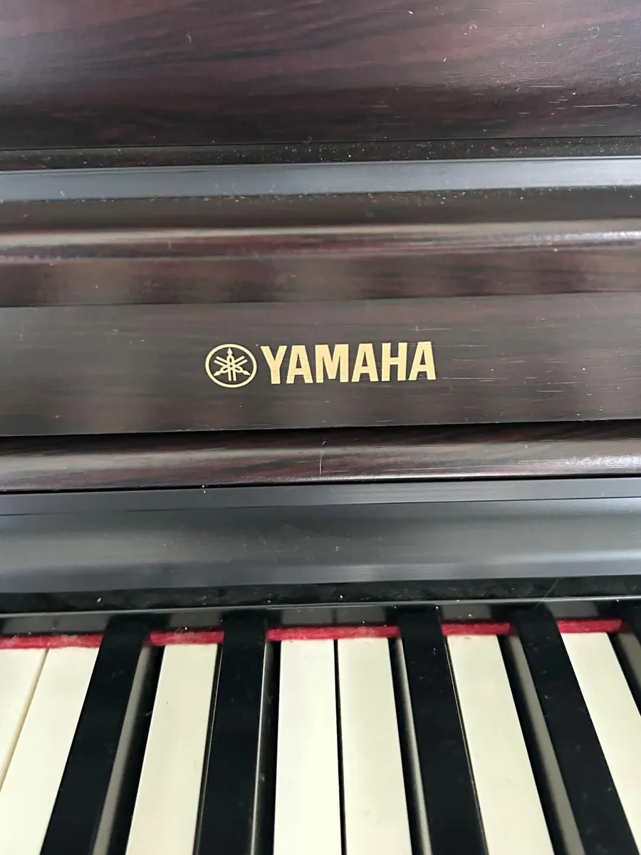 Music - Image 4