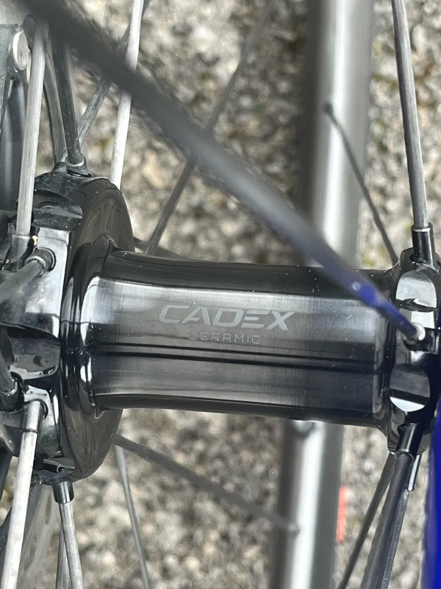 Giant TCR SL - Image 4