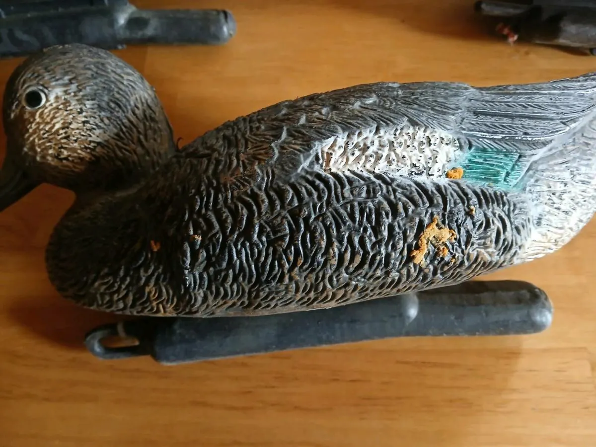 Vintage decoy ducks - Image 3