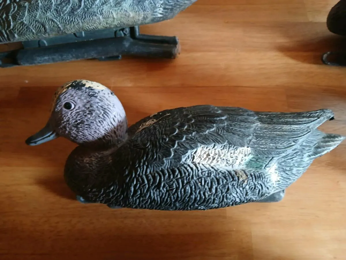 Vintage decoy ducks - Image 4