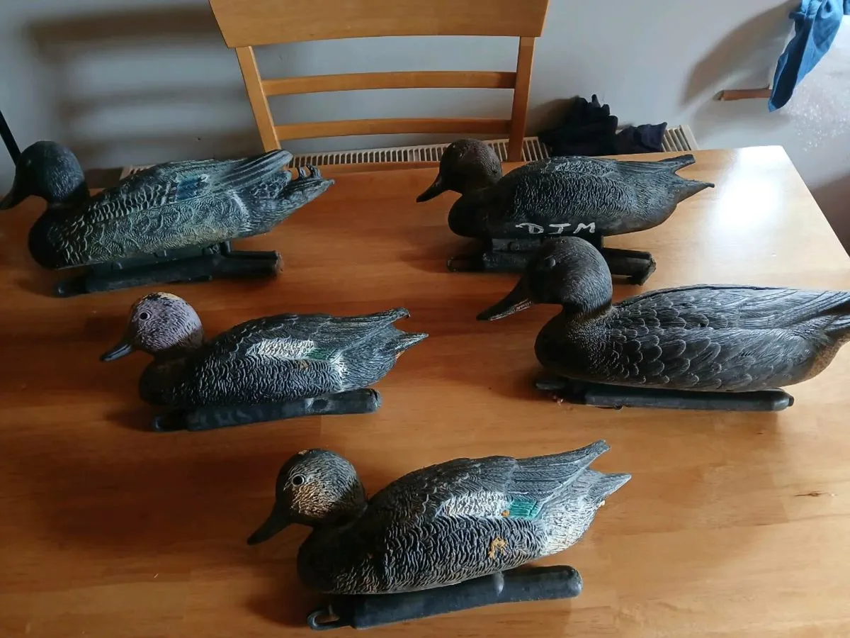 Vintage decoy ducks - Image 1