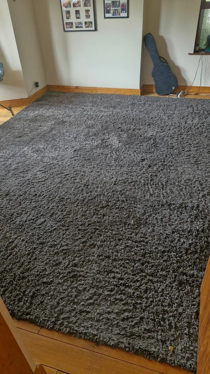 For Sale – Large Unique Loom Rug - Image 2