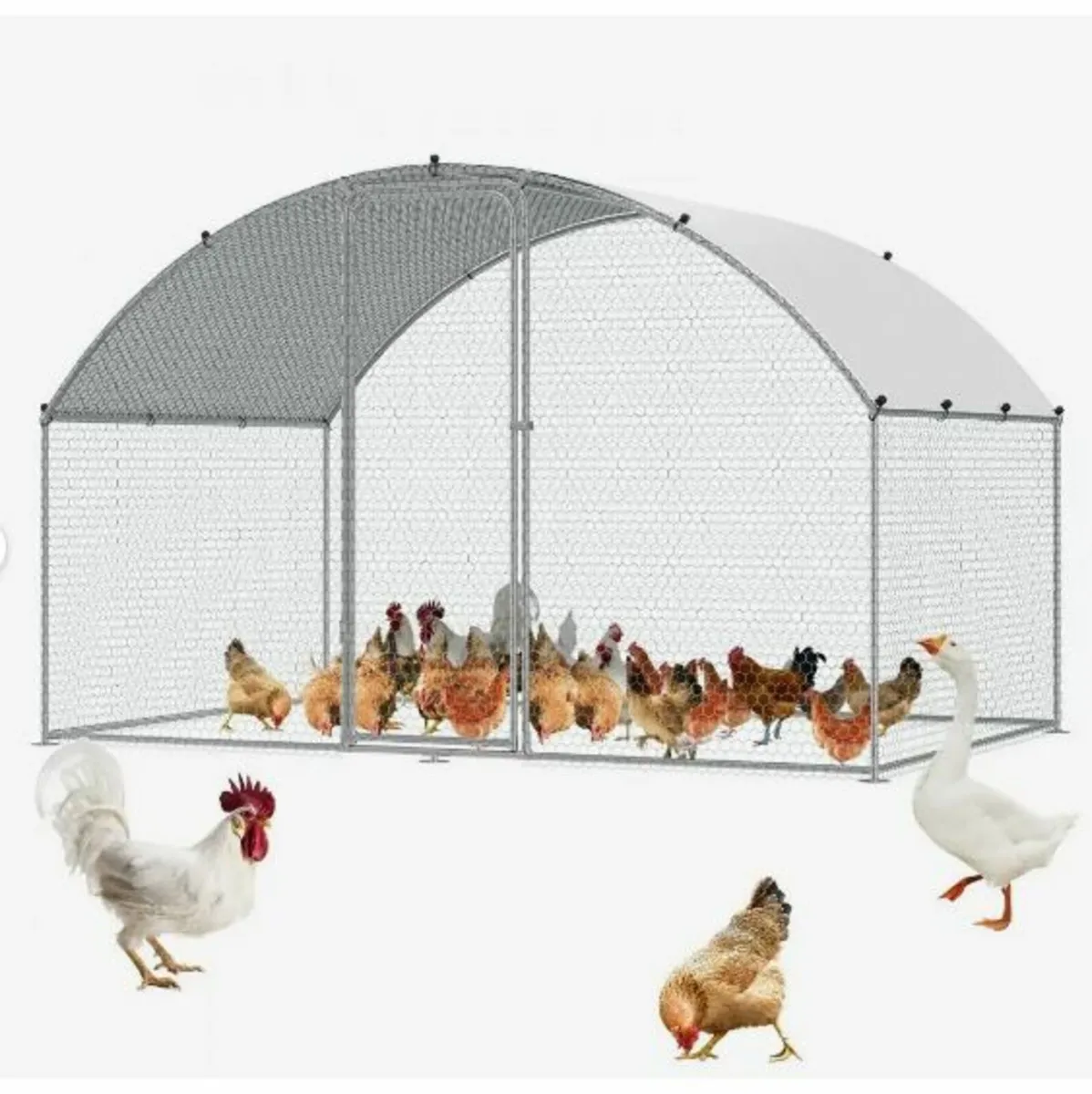 Chicken Coop, 3x1.97x1.99 m Walk-in Large - Image 2