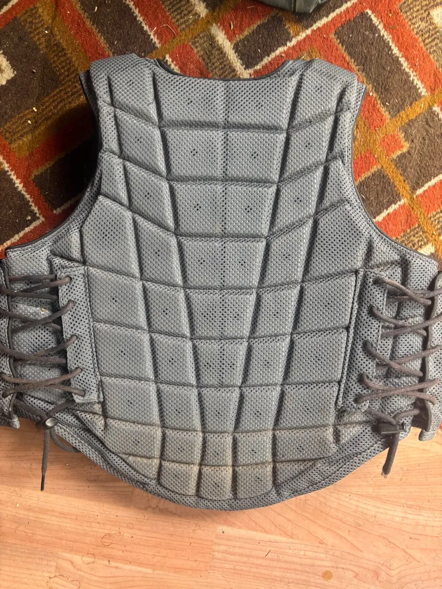 Equestrian chest protection - Image 1
