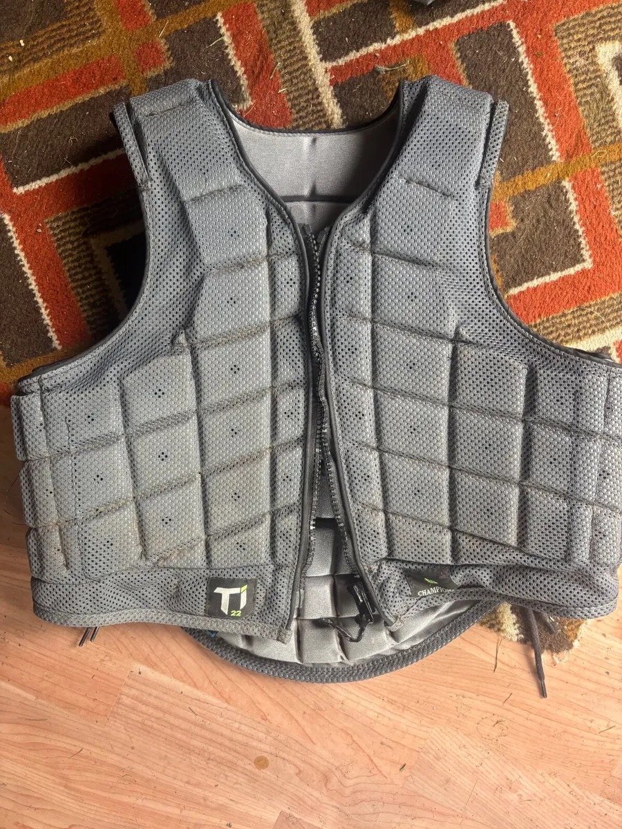 Equestrian chest protection - Image 2