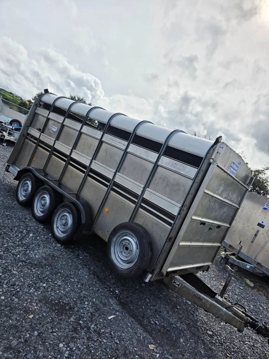 14ft ifor Williams cattle trailer with tank - Image 1
