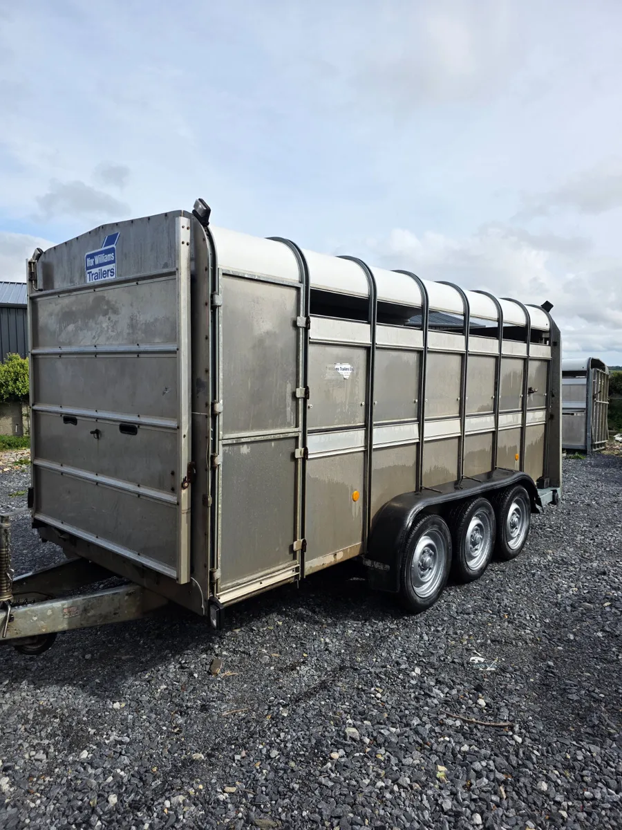 14ft ifor Williams cattle trailer with tank - Image 2
