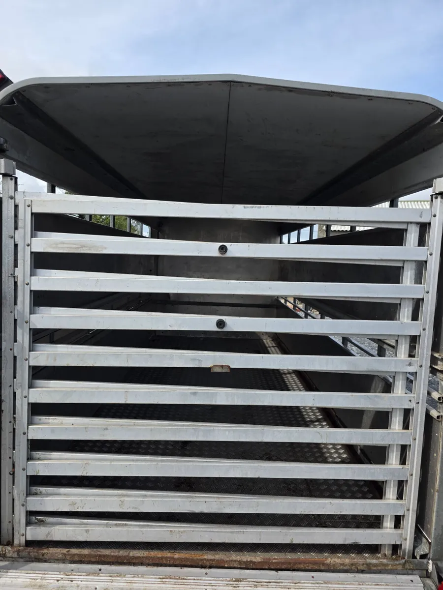14ft ifor Williams cattle trailer with tank - Image 4