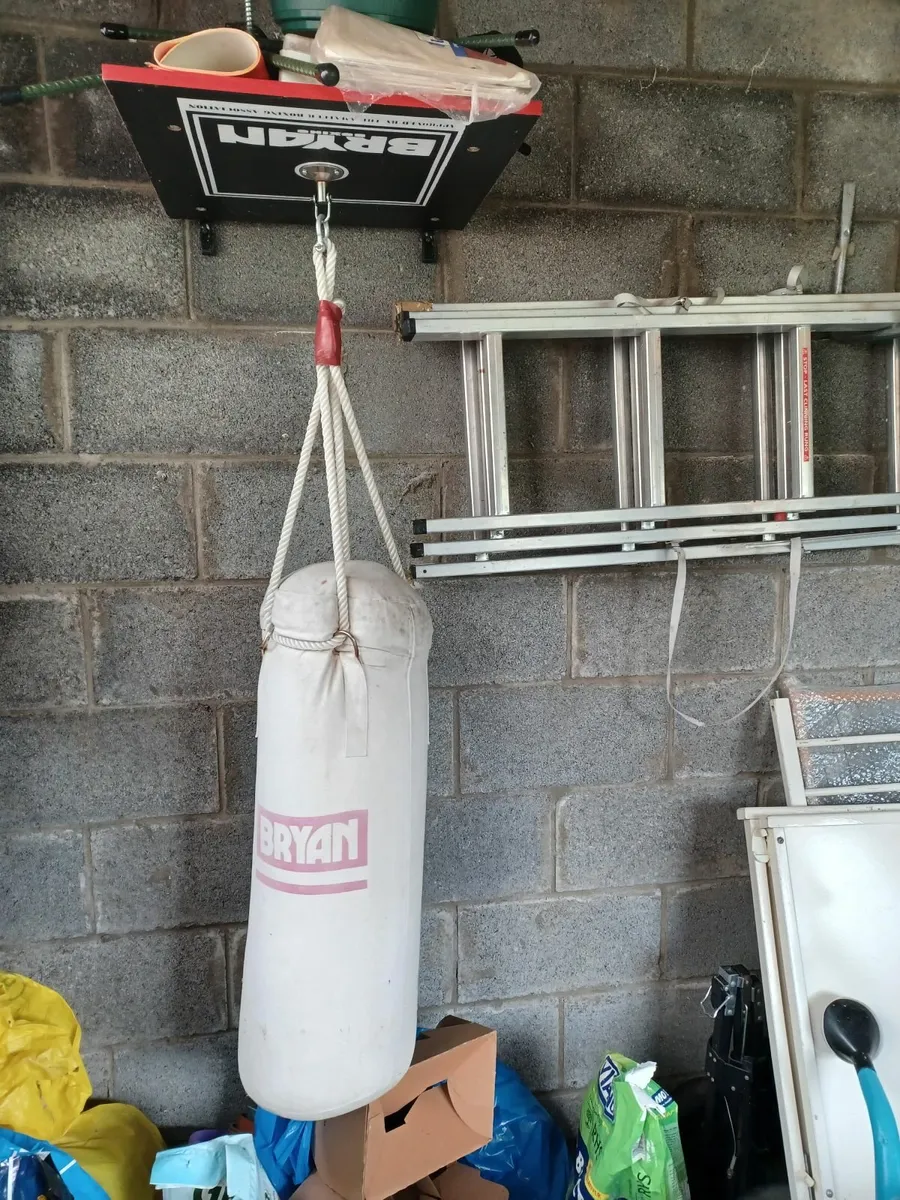 Punch Bag - Image 1