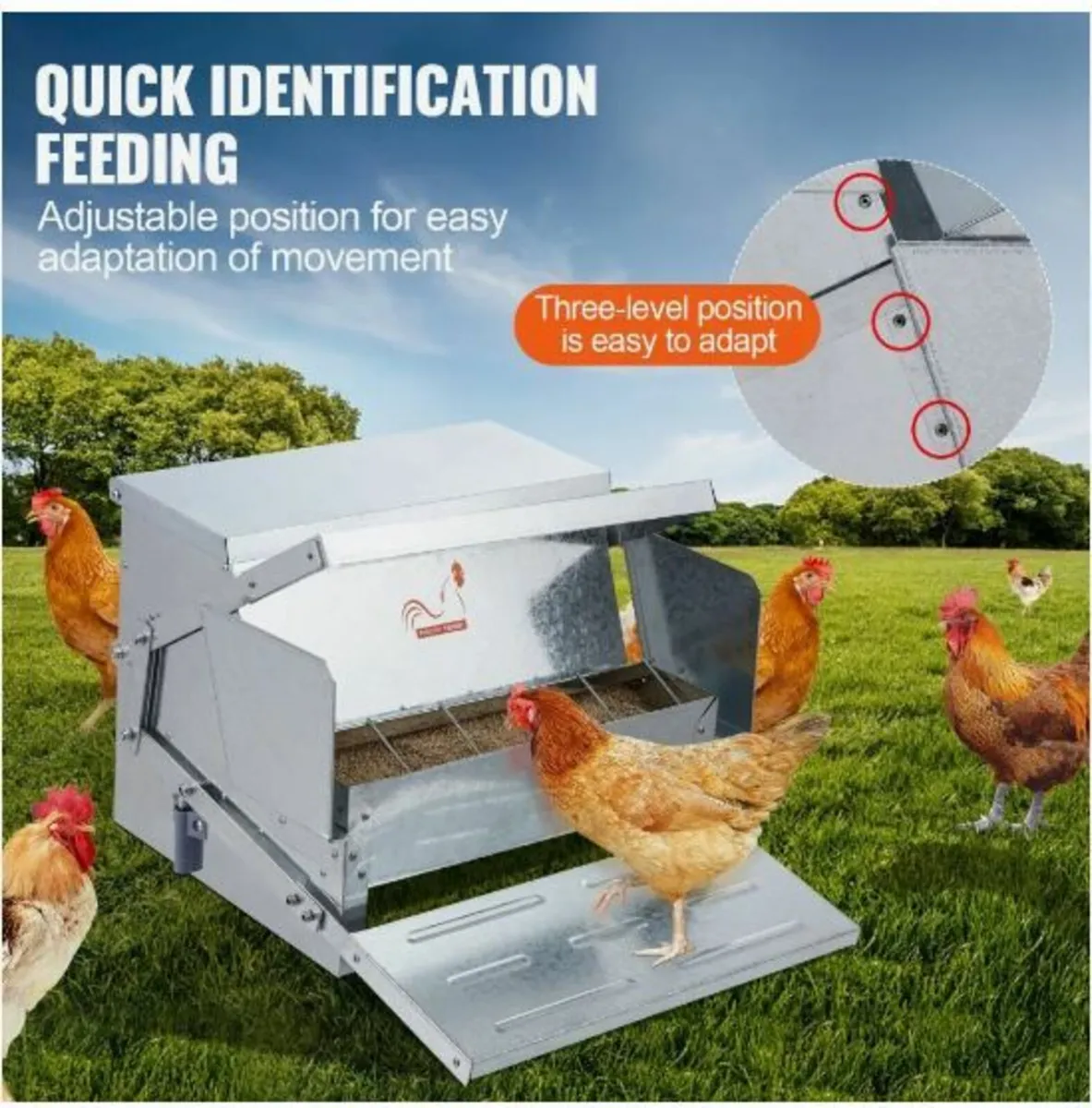 Automatic Chicken Feeder - Image 3