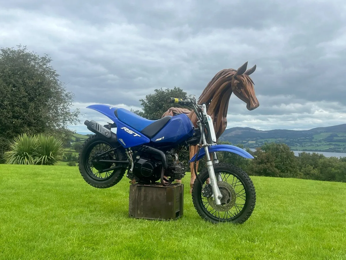 Pw80 - Image 4